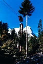 BG Câblage - charge de bois - Morlon