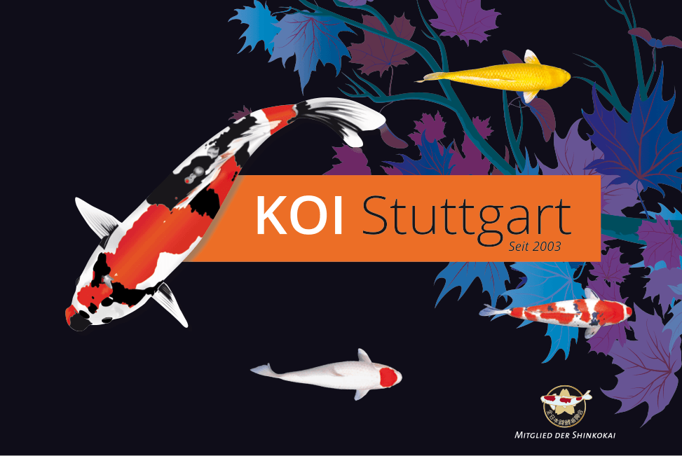 KOI Stuttgart