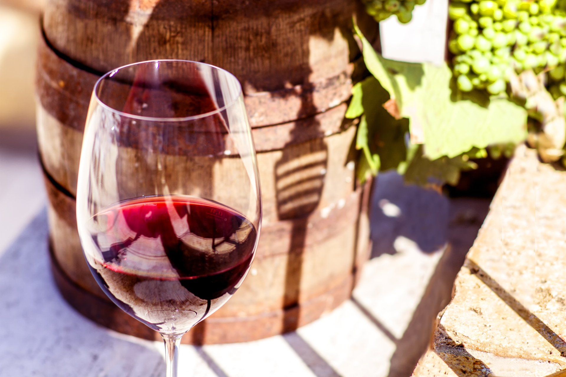 Zwei Tage sind dem Wein und vorzüglichem Essen gewidmet.Bei unserem Arrangement für Weinliebhaber machen selbst langjährige Weinkenner noch neue und spannende Entdeckungen. Etwa die, dass Wein noch viel mehr Talent hat als Ihr Gourmet-Menü zu veredeln. Freuen Sie sich auch auf Geselligkeit und deftige Küche, lehrreiches über Wein und Winzerei und zwei rundum komfortable und kulinarische Tage!