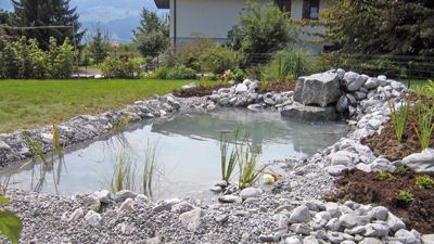 Biotope und Brunnen - Hediger Gartenbau GmbH - Jona