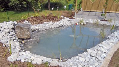 Biotope und Brunnen - Hediger Gartenbau GmbH - Jona