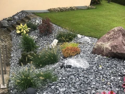Gepflegter Garten - Hediger Gartenbau GmbH - Jona