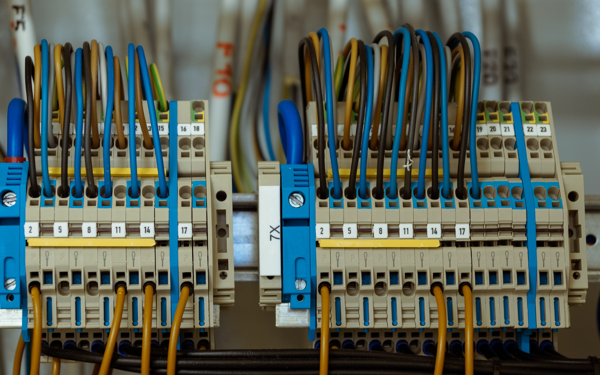 Gros plan des bornes de câblage électrique avec des fils bleus, marron et jaunes connectés.