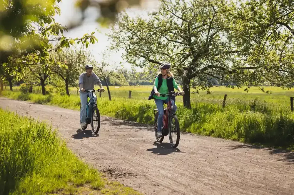 Dos ciclistas recorren un sendero de grava iluminado por el sol a través de un huerto verde.