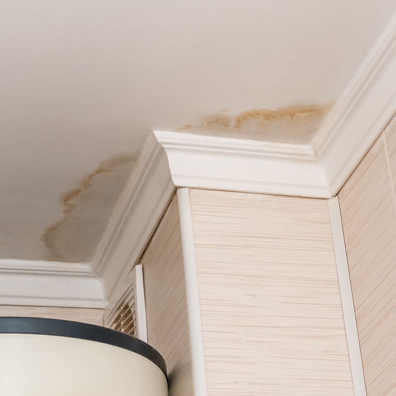 Taches d'eau et peinture écaillée le long du plafond et des moulures au-dessus d'une porte.