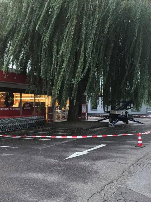 Ein Parkplatz mit einem großen Baum in der Mitte.