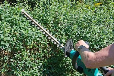 Eine Person schneidet eine Hecke mit einer Heckenschere.