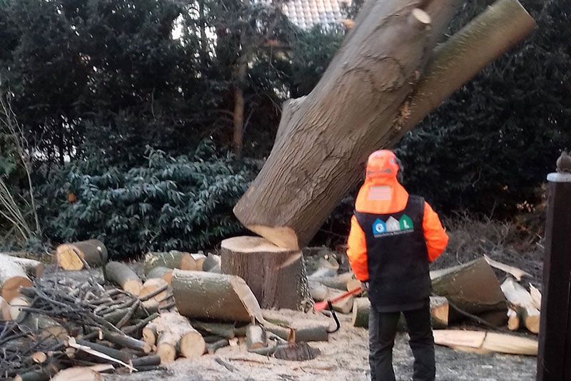 Ein Mann steht vor einem Stapel Holzscheite.