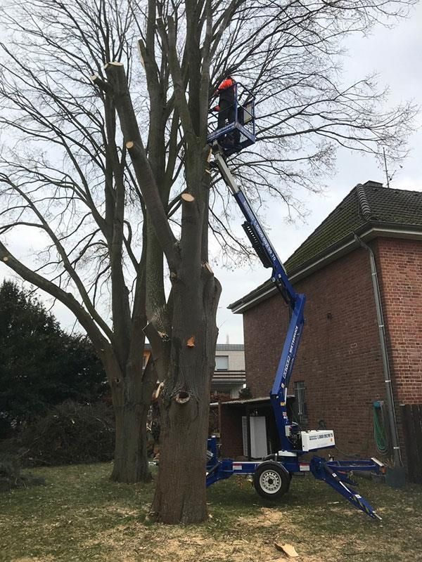 Ein Mann fällt mit einem Kran vor einem Haus einen Baum.