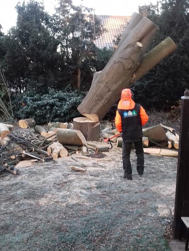 Ein Mann steht vor einem Stapel Baumstämme