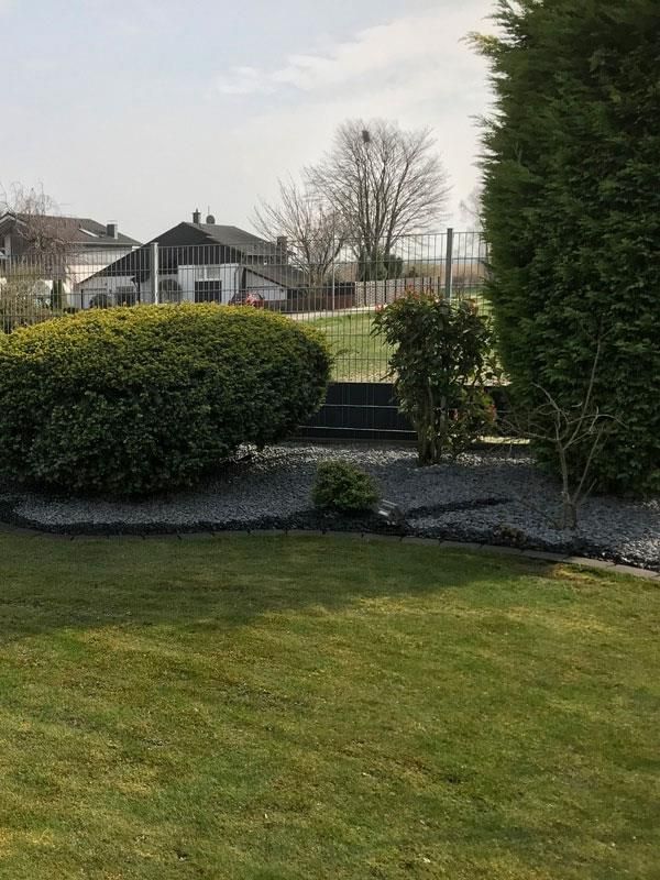 Ein üppiger grüner Rasen mit einem Zaun im Hintergrund und einem Haus im Hintergrund.