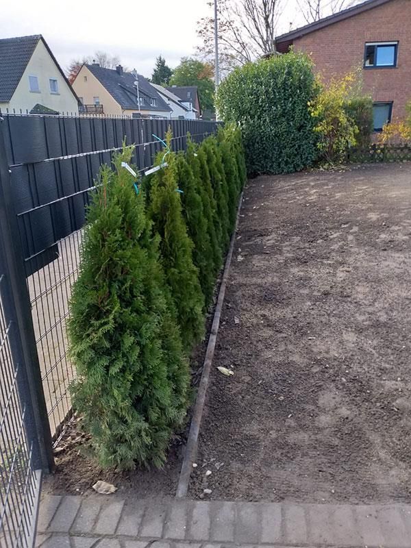 Ein Zaun mit vielen Bäumen davor