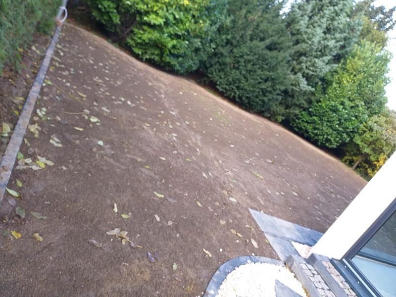 Ein Rasen mit vielen Blättern und Bäumen im Hintergrund