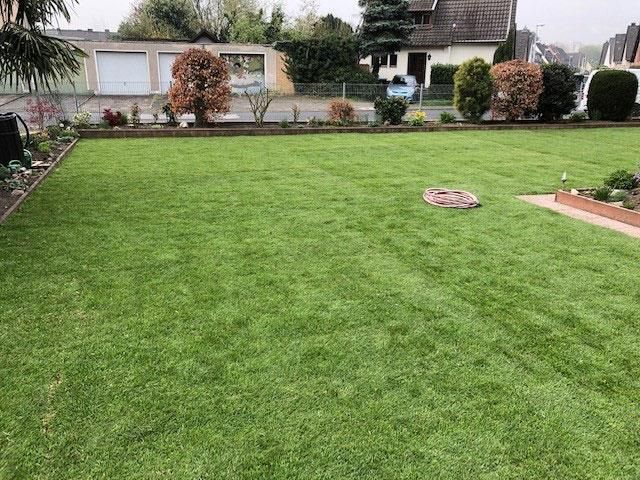 Ein großer, üppiger grüner Rasen vor einem Haus.