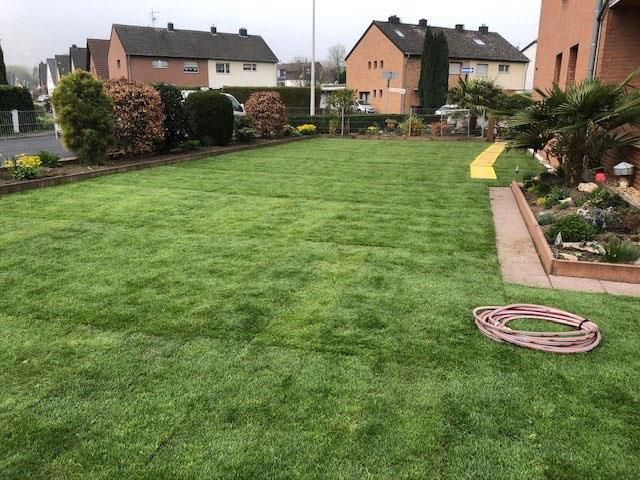 Ein Schlauch liegt mitten auf einem üppigen grünen Rasen.