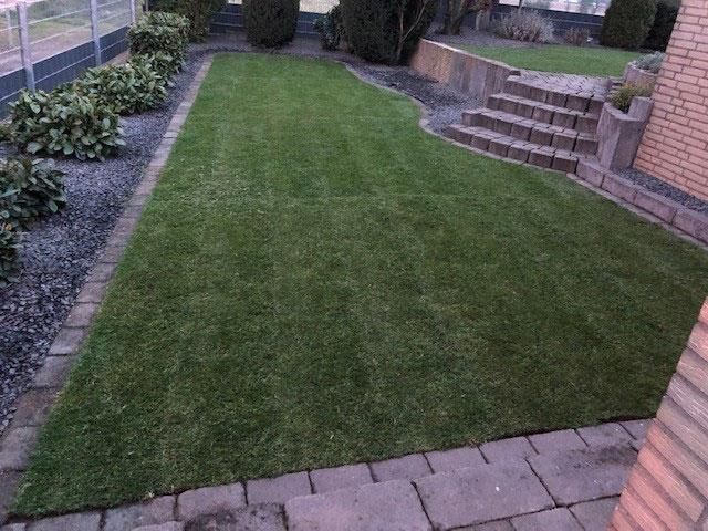 Ein üppiger grüner Rasen mit Treppen, die hinaufführen