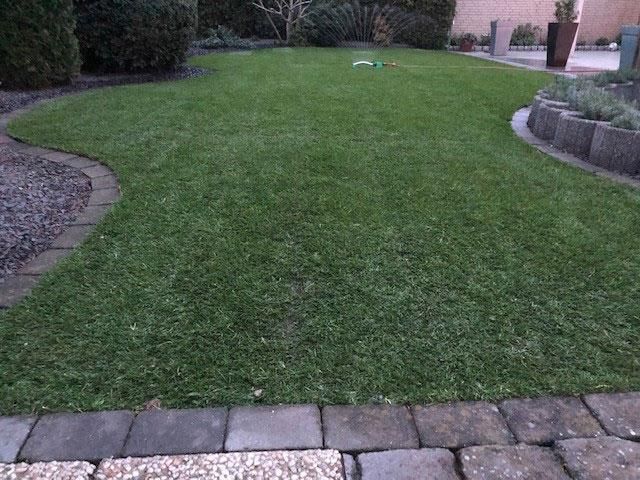 Ein üppiger grüner Rasen, umgeben von einem gepflasterten Gehweg.