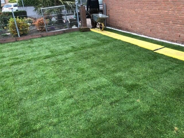 Ein Mann schiebt eine Schubkarre über einen üppigen grünen Rasen.