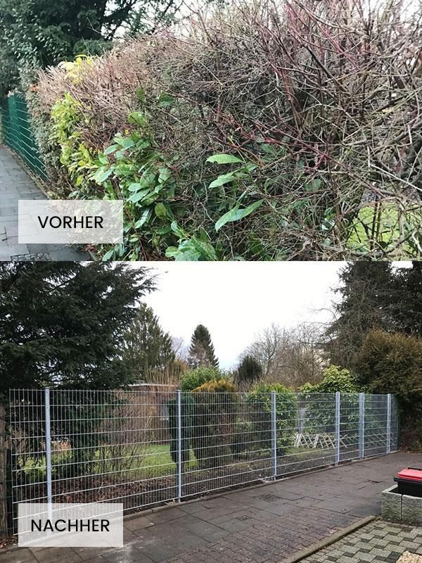 Ein Vorher-Nachher-Bild eines Zauns in einem Garten.