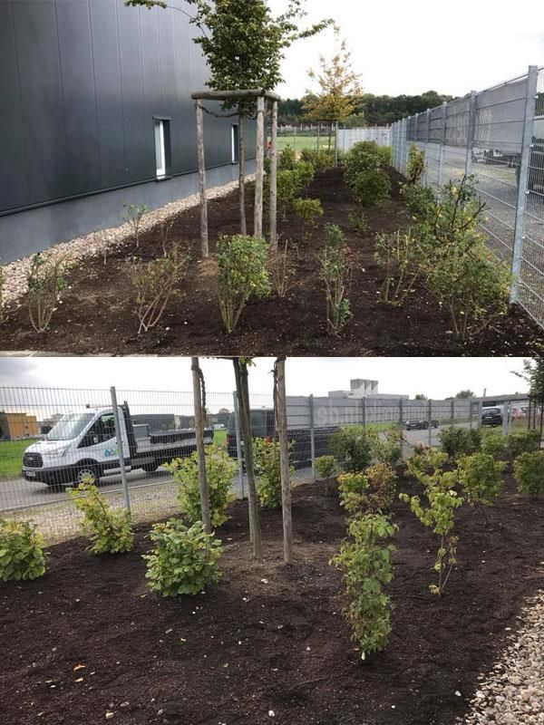 Ein Vorher-Nachher-Bild eines Gartens mit einem Lastwagen im Hintergrund.