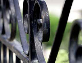 Primer plano de un adorno ornamental de hierro forjado negro sobre un fondo verde difuminado.