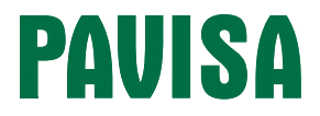 La palabra pavisa está escrita en letras verdes sobre fondo blanco.