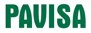 Logotipo verde de &ldquo;PAVISA&rdquo; sobre fondo blanco