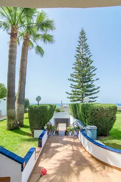Un sendero pavimentado en pendiente descendente conduce hacia un túnel, enmarcado por setos podados, una palmera y un pino alto bajo un cielo azul.