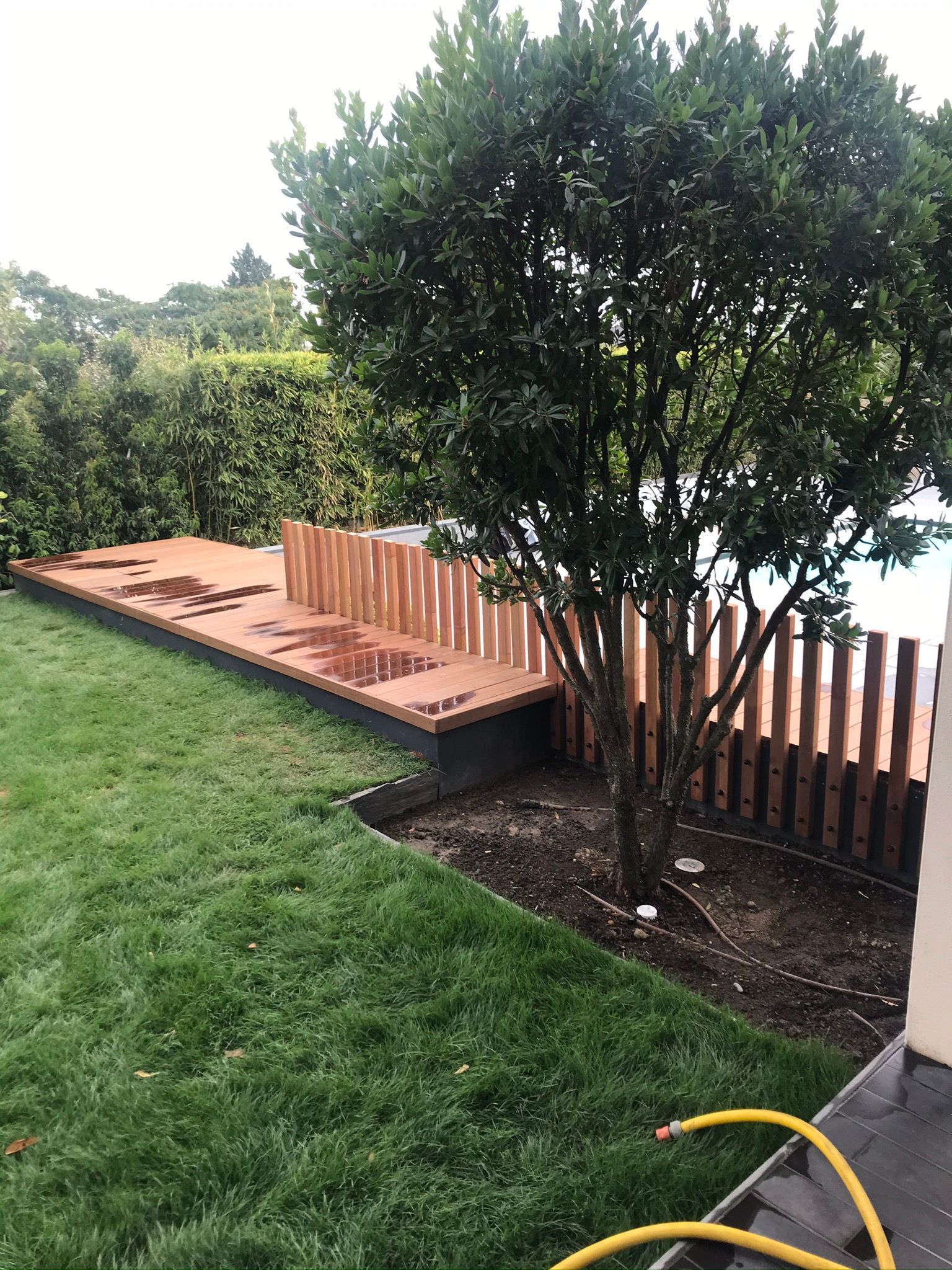 Terrasse en bois et clôture entourant un arbre dans un jardin verdoyant.