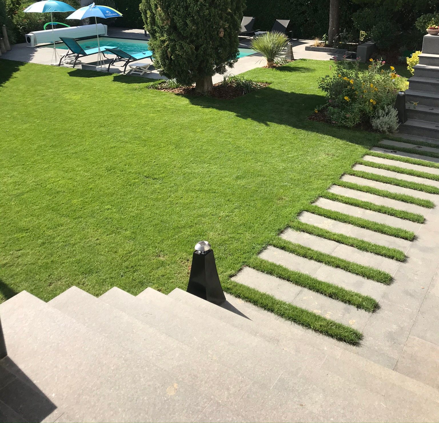 Un jardin avec du gazon et un chemin d'accès.