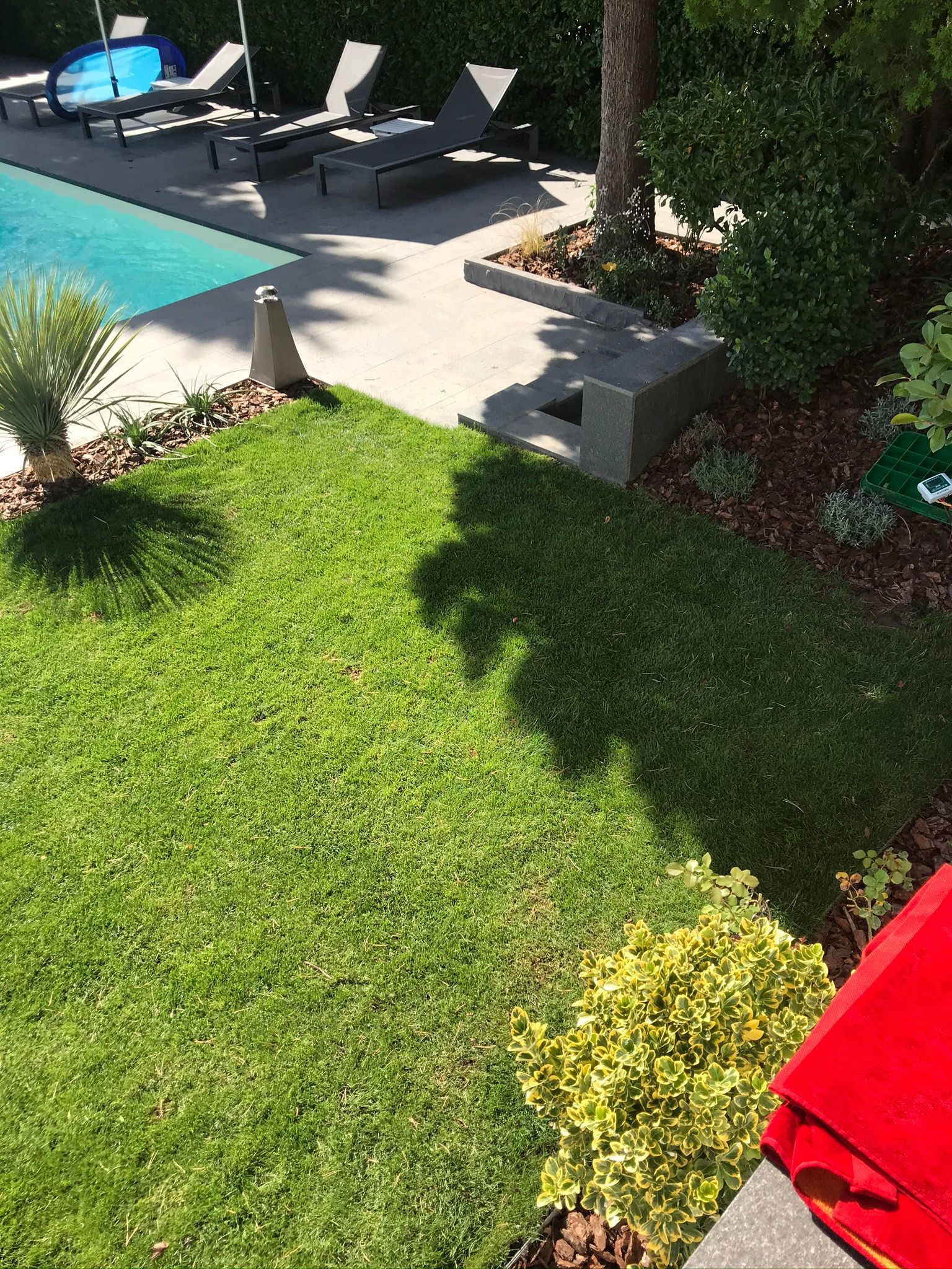 Pelouse verdoyante avec piscine, chaises longues et aménagements paysagers.