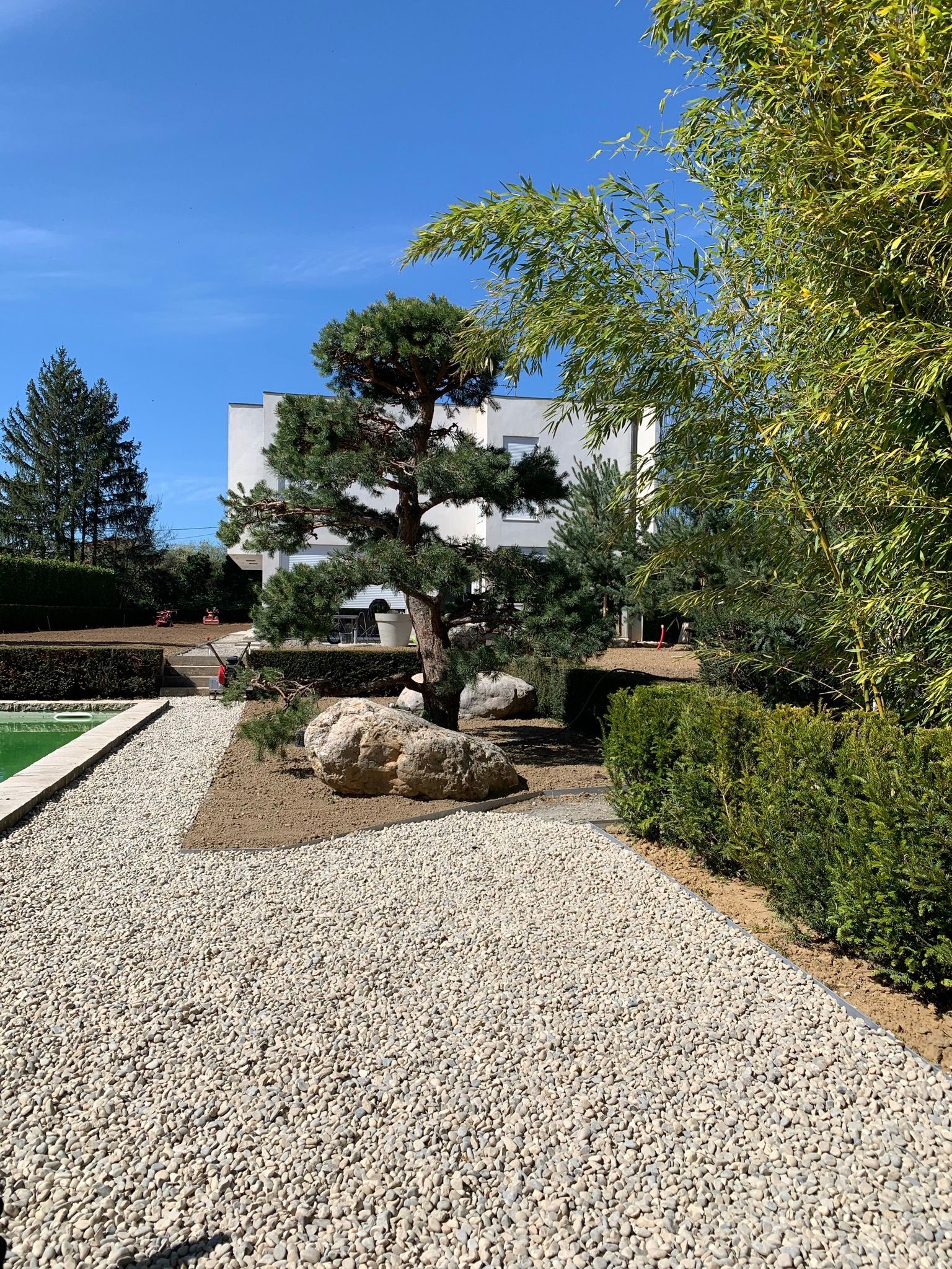 Un jardin paysager avec un bonsaï, un chemin de gravier et une maison blanche en arrière-plan.