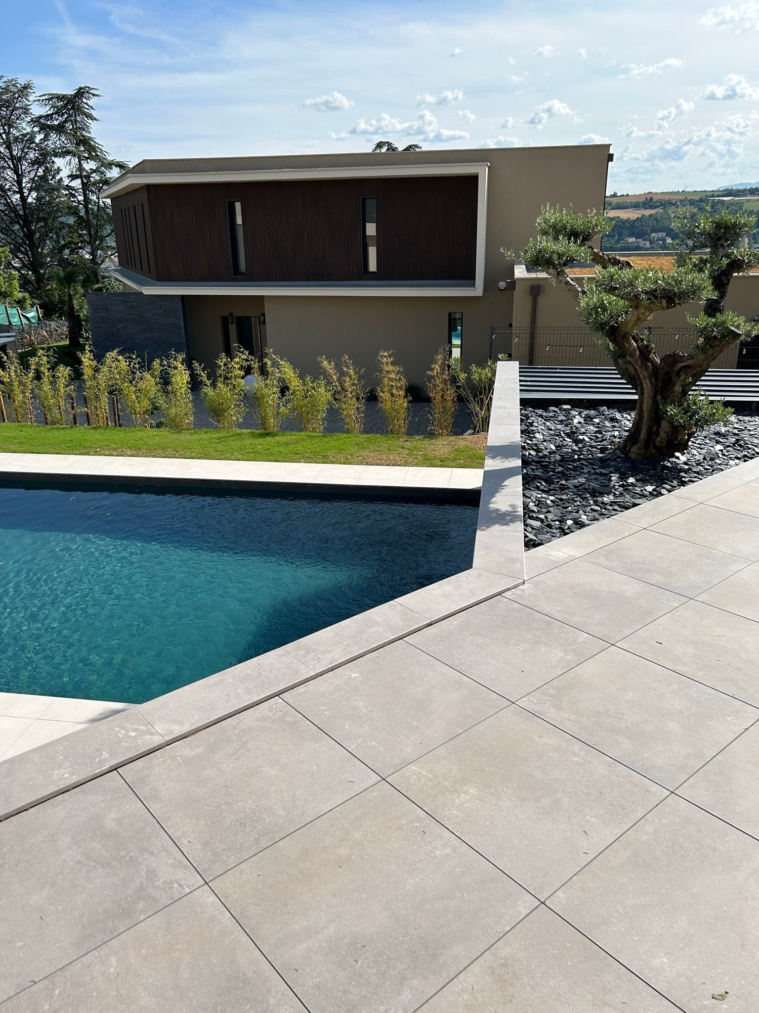 Maison moderne avec piscine, arbre et terrasse en pierre.