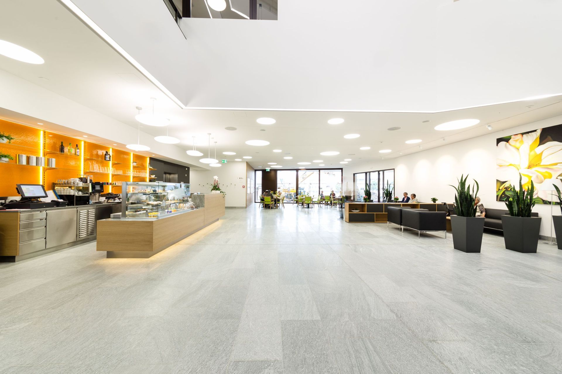 Boden, Rheintal Quarzit