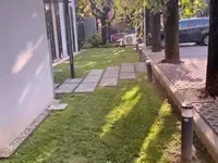 Un marciapiede che conduce a una casa con tanto erba e alberi.