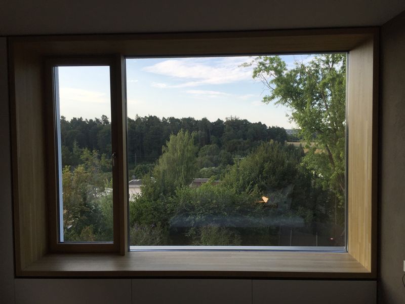 Ein großes Fenster mit Blick auf einen Wald in einem Zimmer.