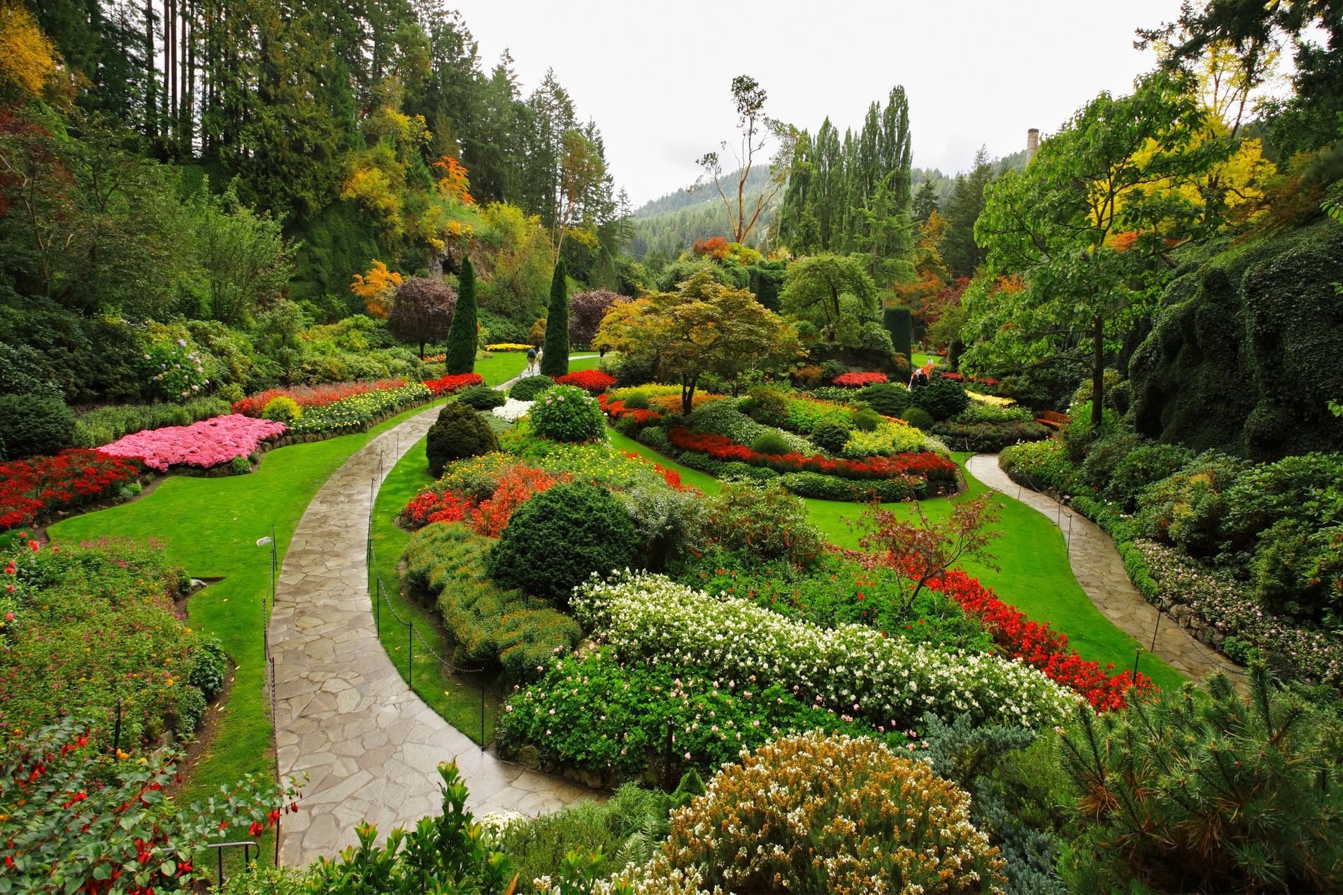 Un jardín lleno de muchas flores y árboles.
