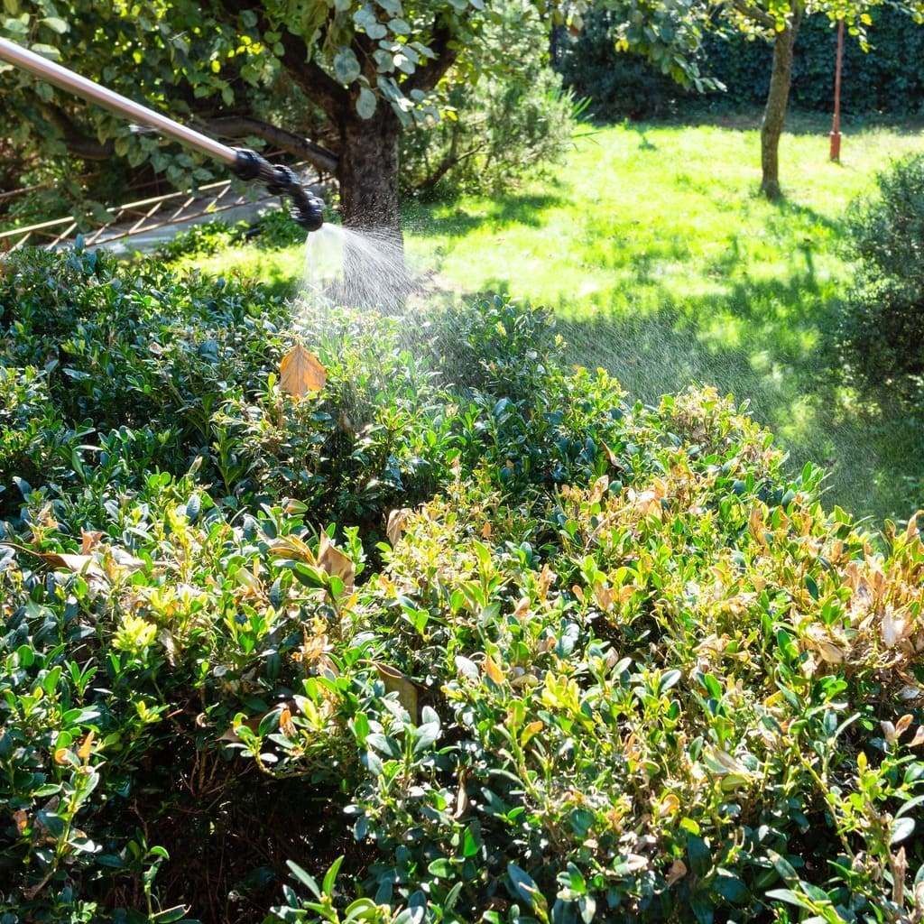 Una persona está rociando plantas en un jardín con un rociador.