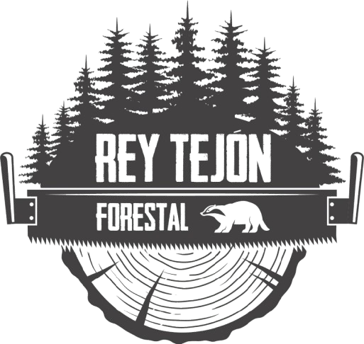 Un logotipo en blanco y negro para Rey Tejón Forestal.