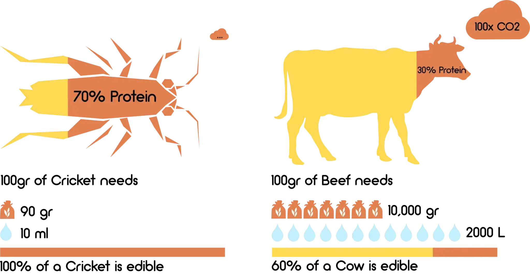 Una imagen de una vaca y una imagen de una araña.