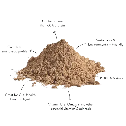 Un montón de polvo marrón con flechas que apuntan a diferentes ingredientes.