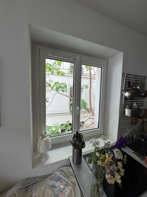 Fenêtre de cuisine lumineuse avec des fleurs en pot et de la verdure sur le rebord et le comptoir.