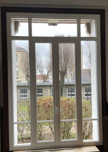 Vue à travers une fenêtre à carreaux blancs sur une maison de banlieue et des arbres dénudés par une journée grise