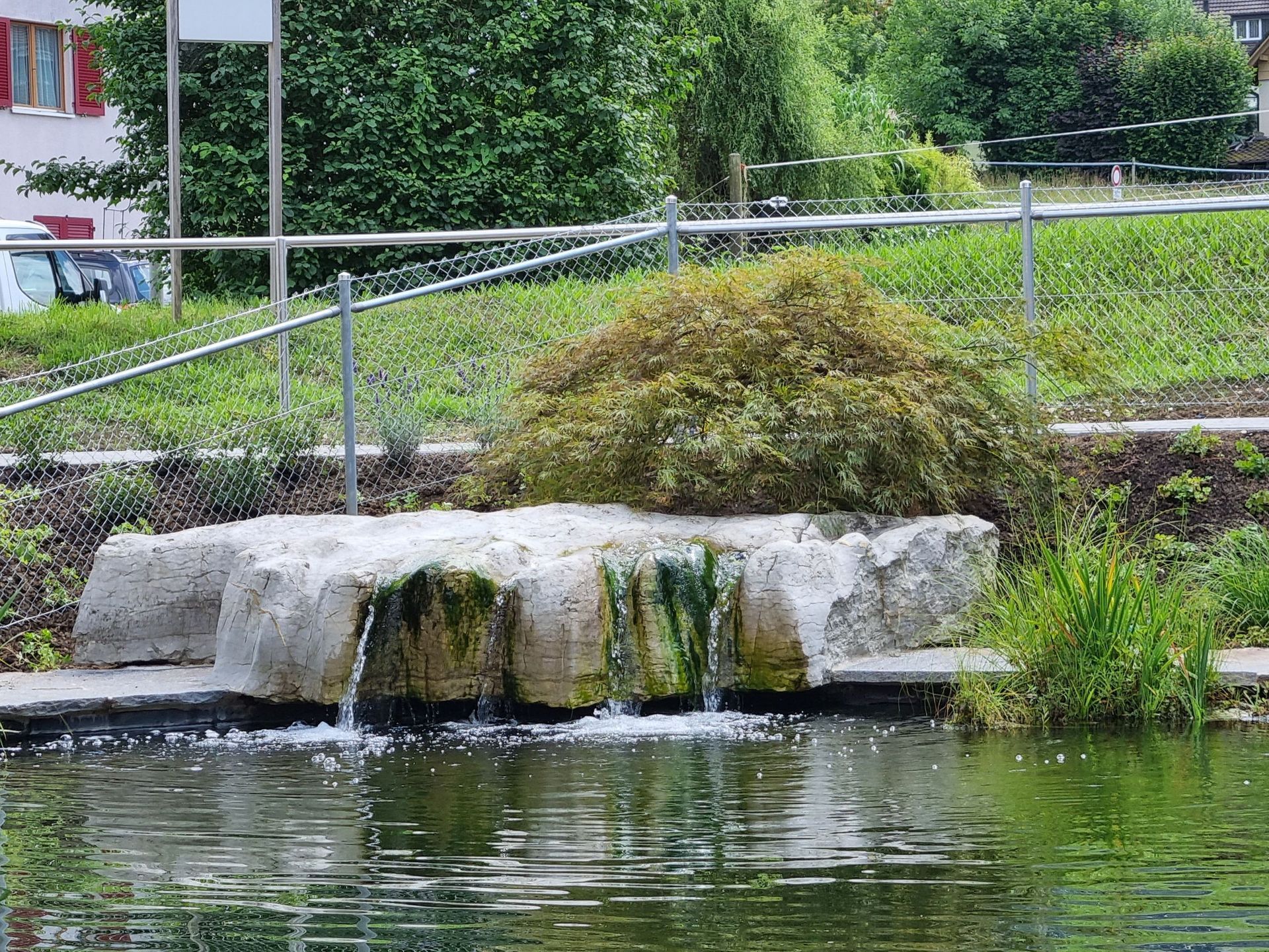 Teichanlage - Lüthi Gartenbau GmbH