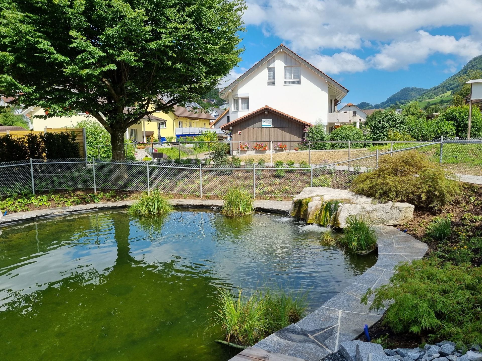 Teichanlage - Lüthi Gartenbau GmbH