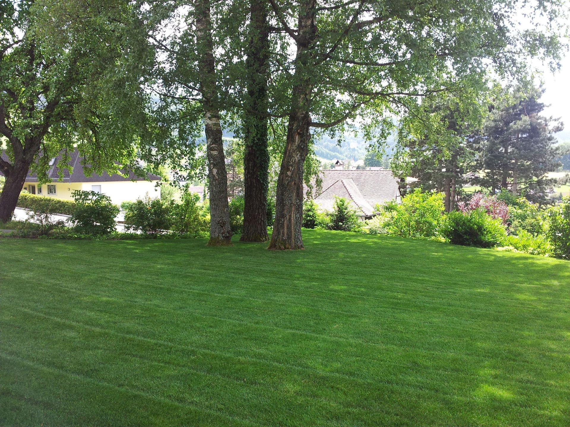 Ansaaten und Rollrasen - Lüthi Gartenbau GmbH