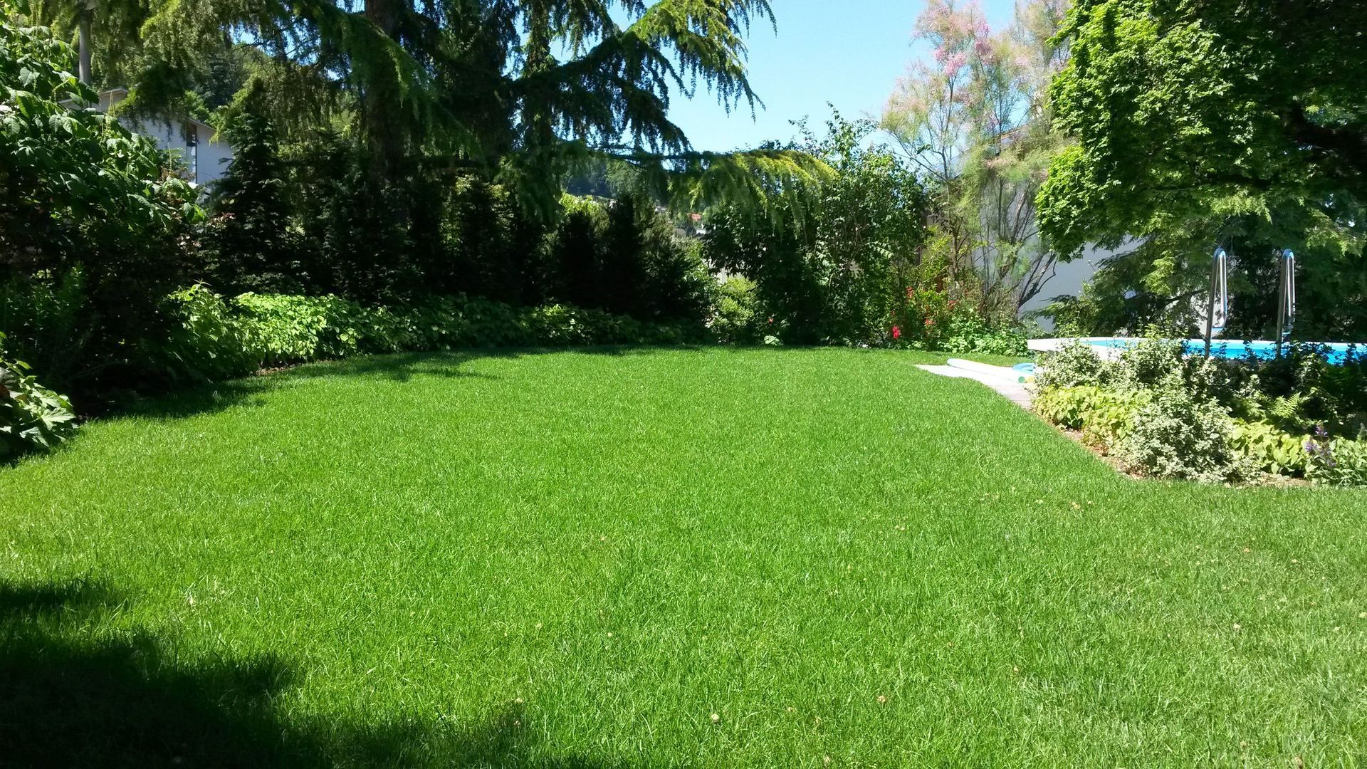 Ansaaten und Rollrasen - Lüthi Gartenbau GmbH