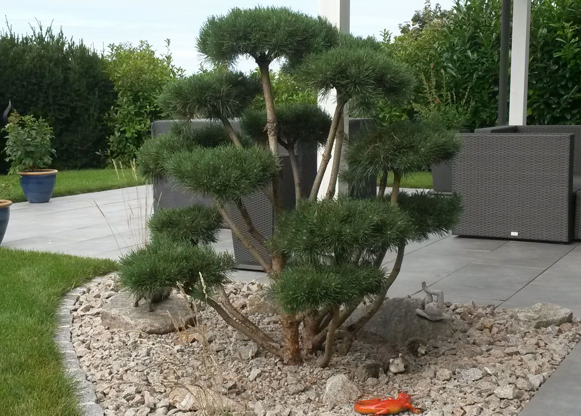 Bepflanzung Bonsai - Lüthi Gartenbau GmbH