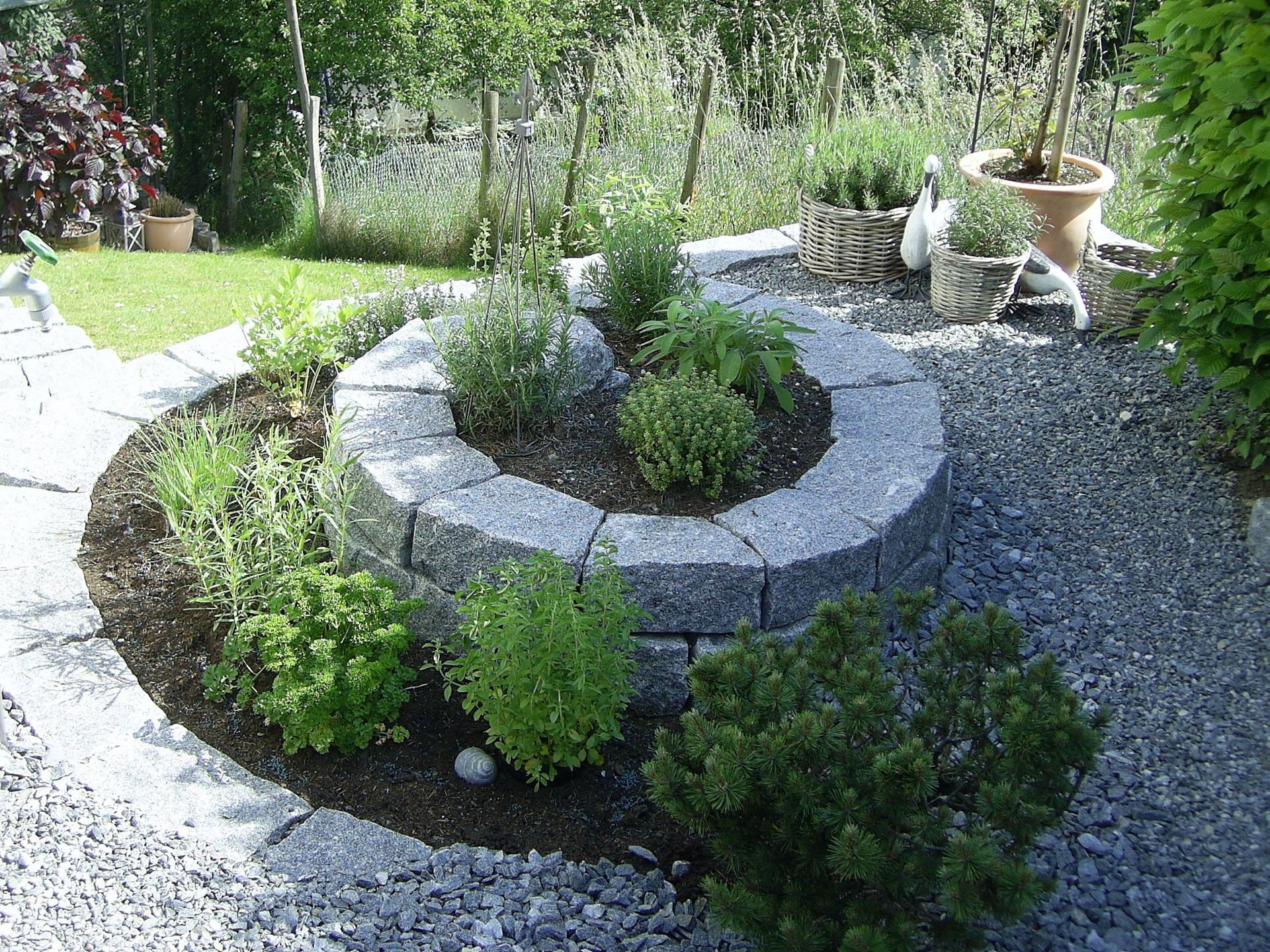 Kräuertschnecke - Lüthi Gartenbau GmbH