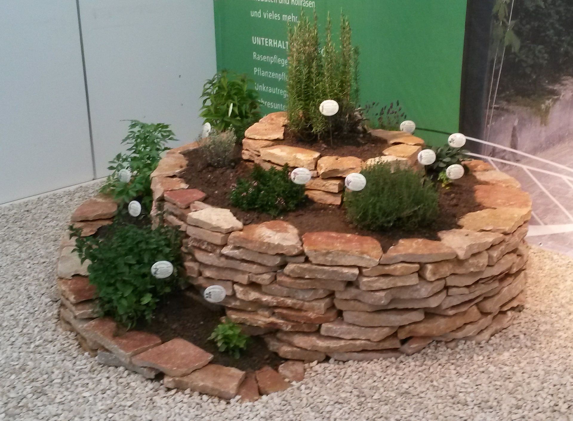 Kräuertschnecke - Lüthi Gartenbau GmbH